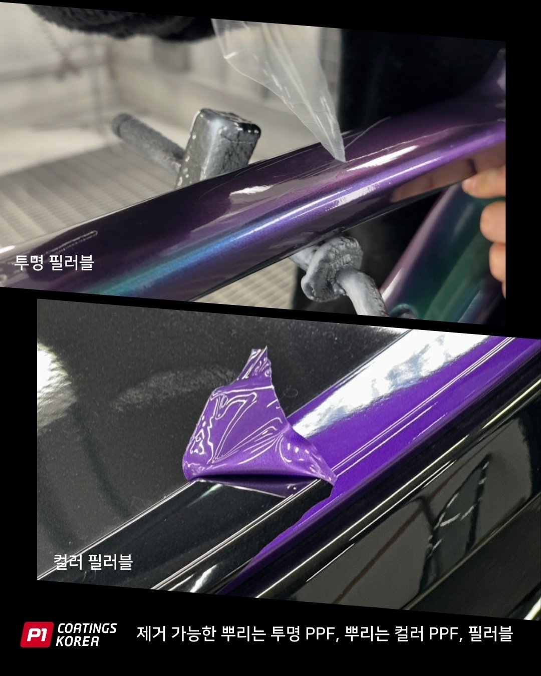 자전거뿌리는PPF